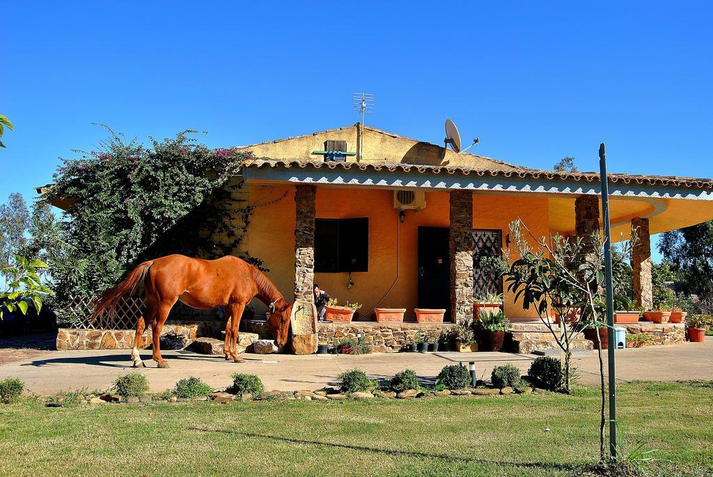 Agriturismo Monte Majore Siliqua Exteriör bild